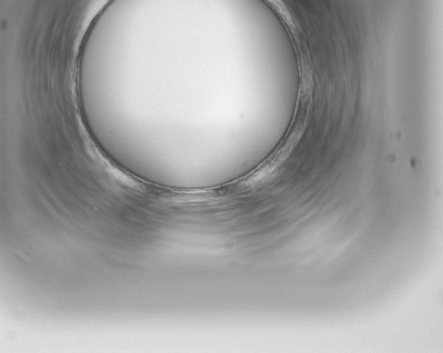 X0000060241486200511111916