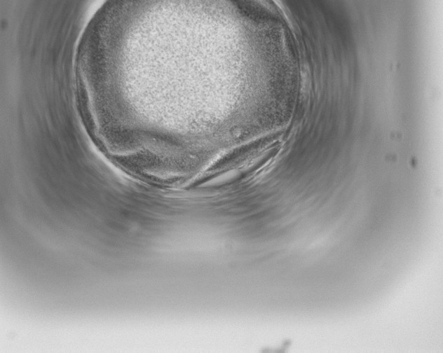 X0000060241487200511111916