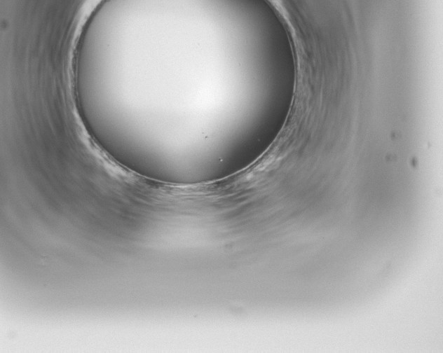 X0000060241488200511111916