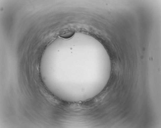 X0000060241489200511111915