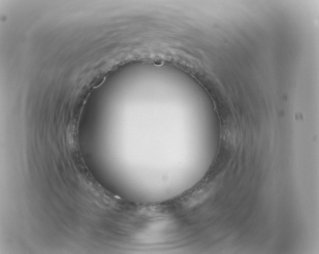 X0000060241490200511111915