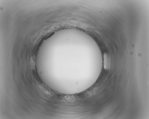 X0000060241491200511111915