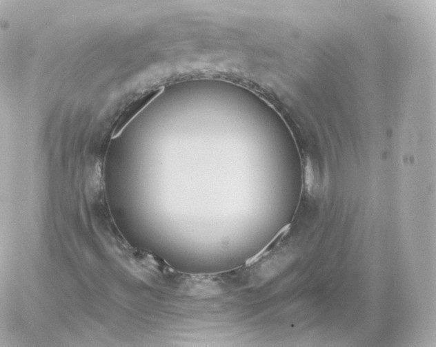 X0000060241492200511111915