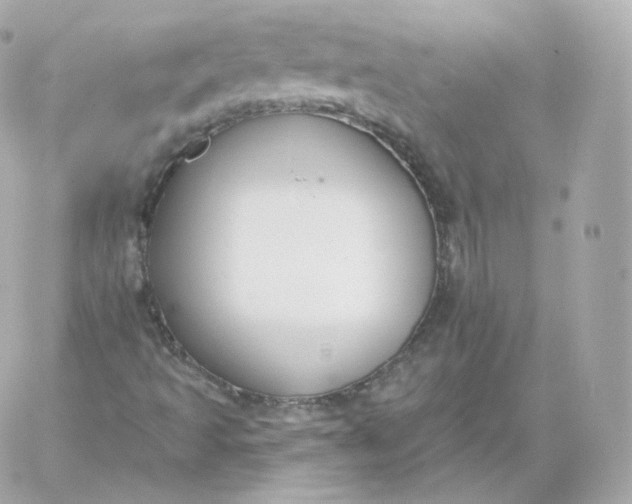 X0000060241493200511111915