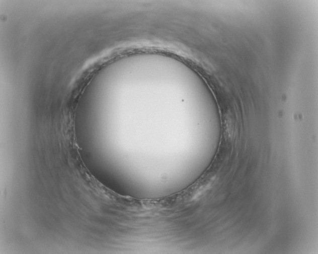 X0000060241494200511111915