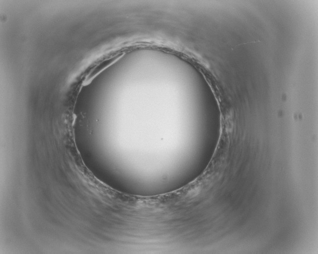 X0000060241496200511111916