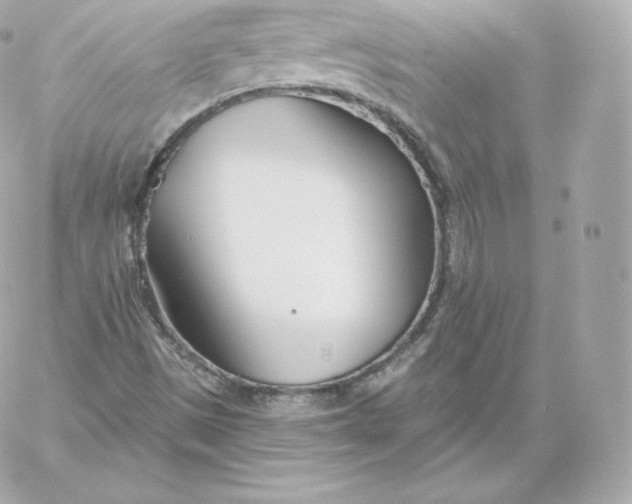 X0000060241497200511111916