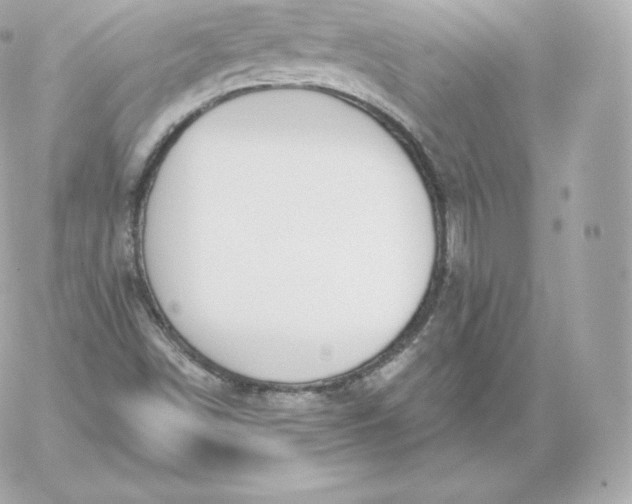 X0000060241498200511111916