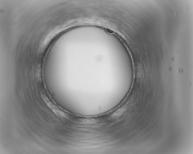 X0000060241499200511111916