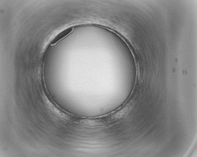 X0000060241500200511111916