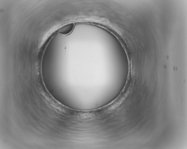 X0000060241501200511111916