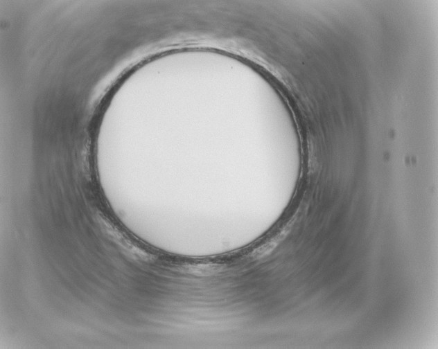 X0000060241502200511111916