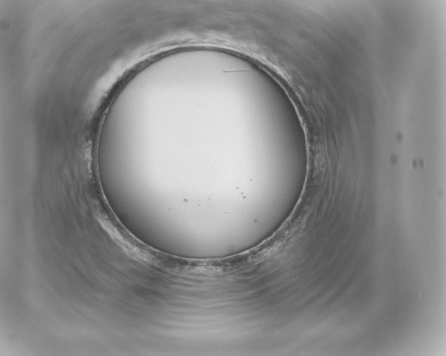 X0000060241503200511111916