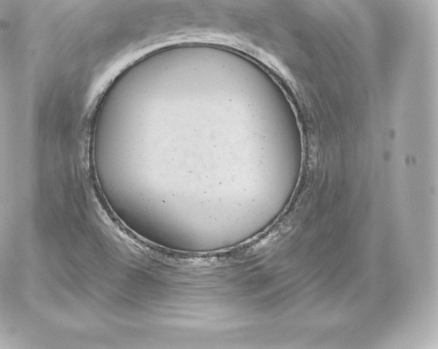 X0000060241504200511111916