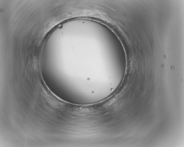 X0000060241505200511111916