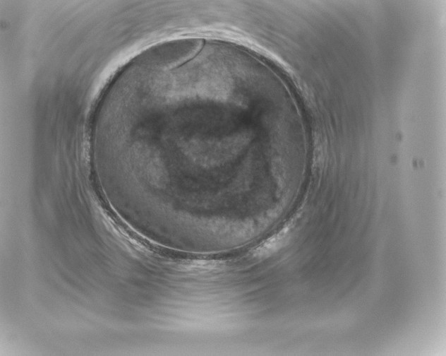 X0000060241506200511111916