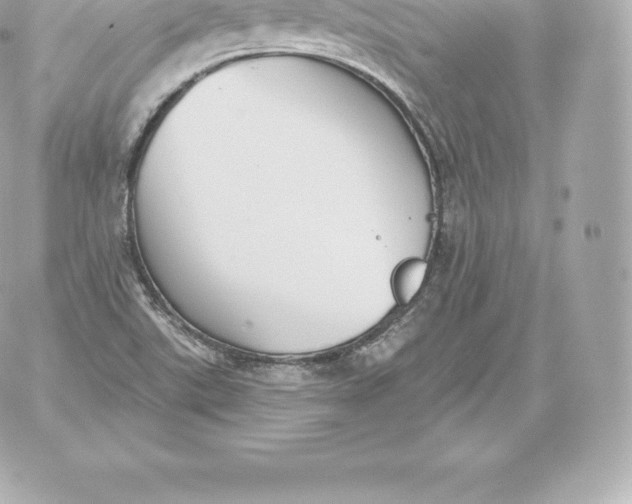 X0000060241507200511111916