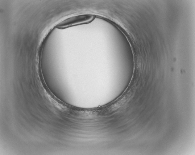 X0000060241508200511111916