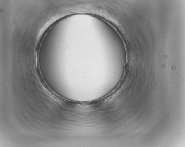 X0000060241509200511111916