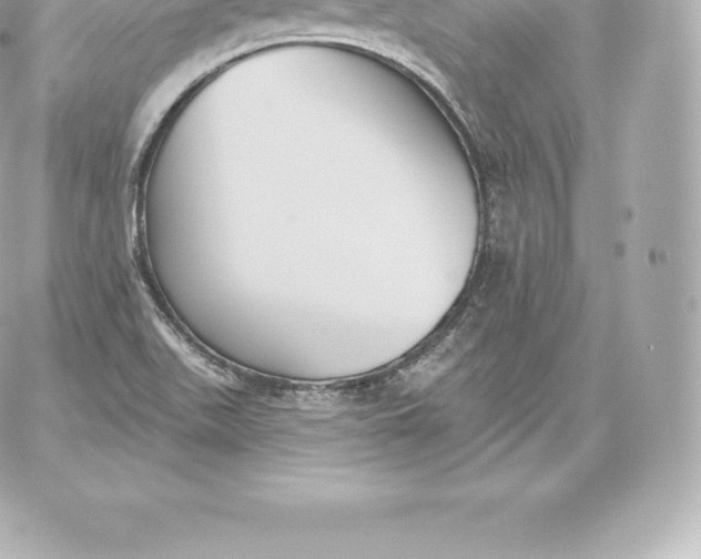 X0000060241511200511111916