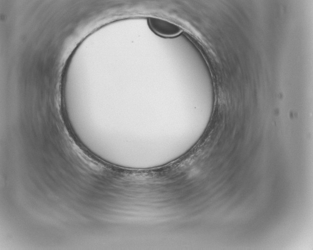 X0000060241512200511111916