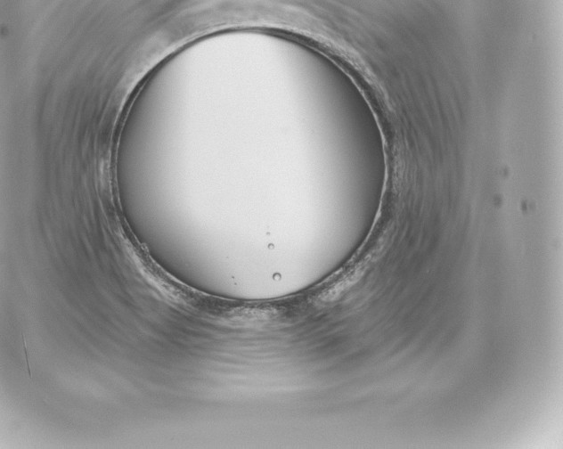 X0000060241513200511111916