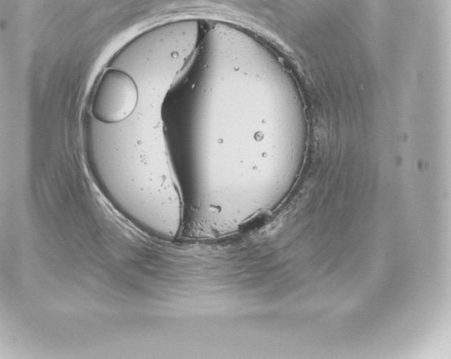 X0000060241514200511111916