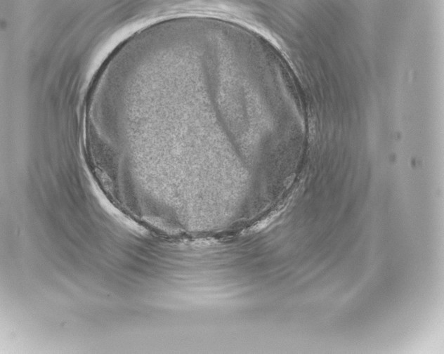 X0000060241515200511111916