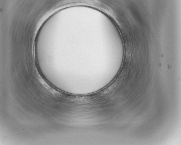 X0000060241516200511111916