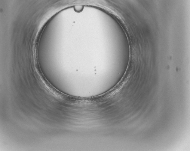 X0000060241517200511111916