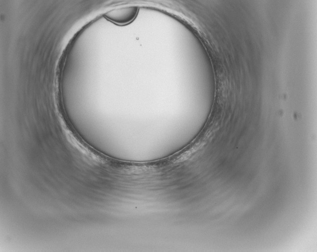 X0000060241518200511111916