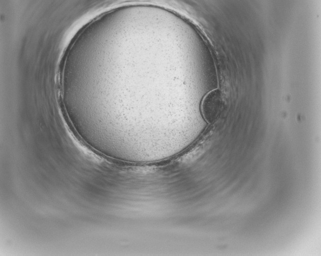 X0000060241519200511111916