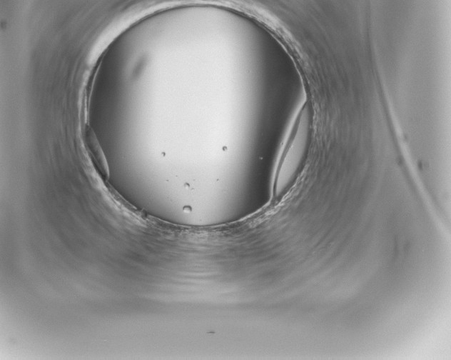 X0000060241520200511111916