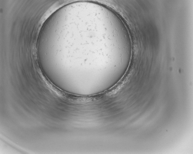 X0000060241521200511111916