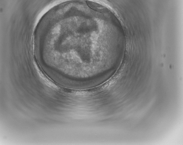 X0000060241522200511111916