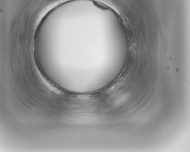 X0000060241523200511111916