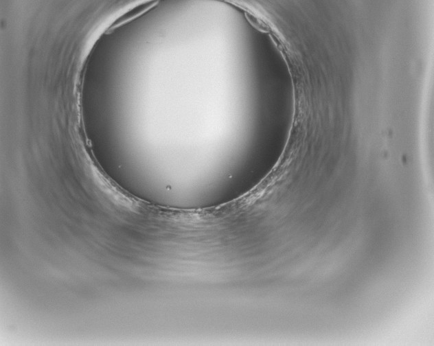 X0000060241524200511111916