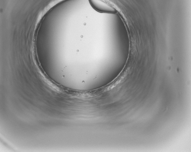 X0000060241525200511111916