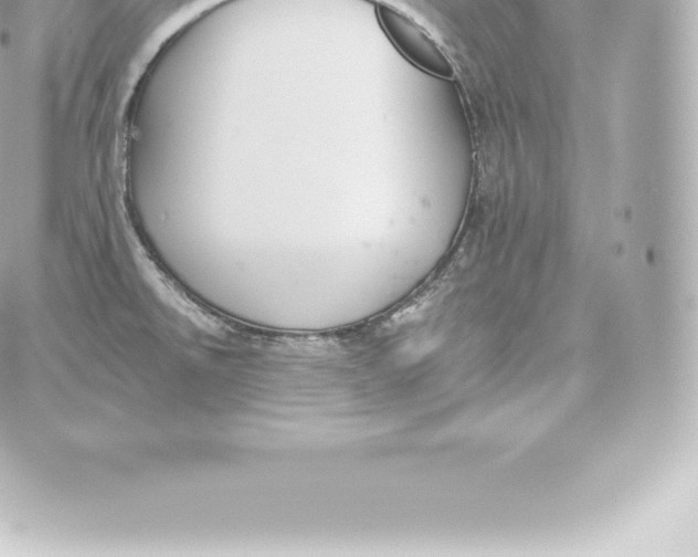 X0000060241526200511111916