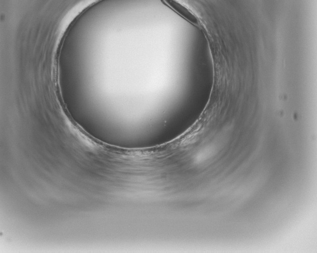 X0000060241527200511111916