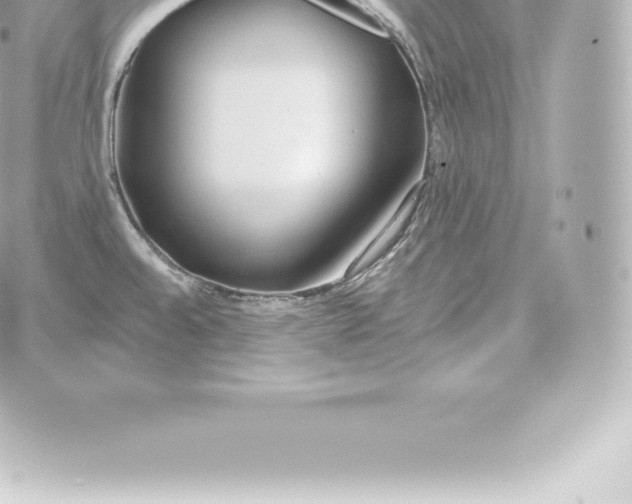 X0000060241528200511111916