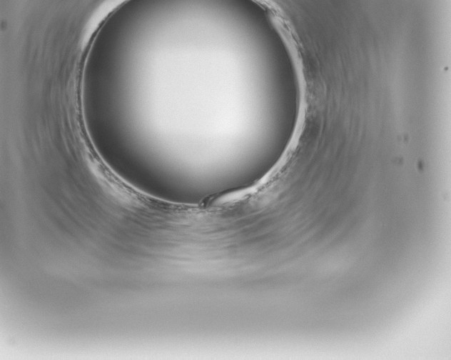 X0000060241530200511111916