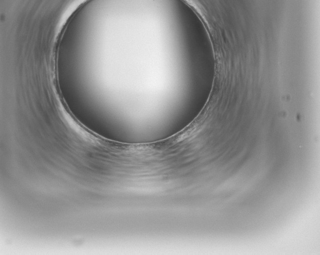 X0000060241531200511111916