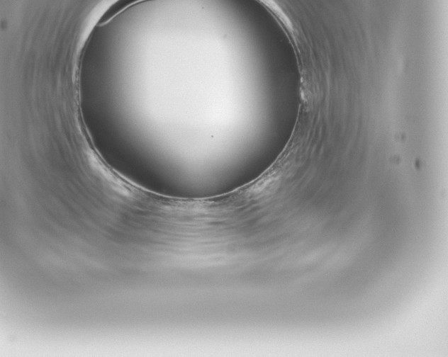 X0000060241532200511111916