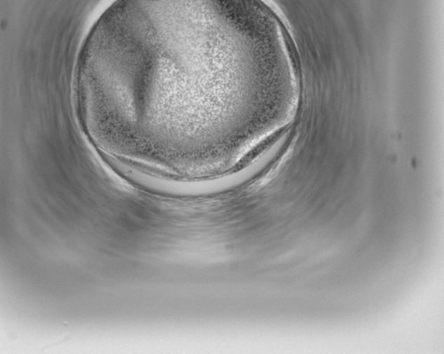 X0000060241533200511111916