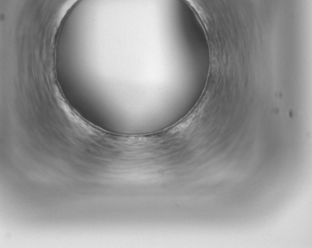 X0000060241534200511111916