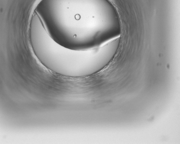 X0000060241536200511111916