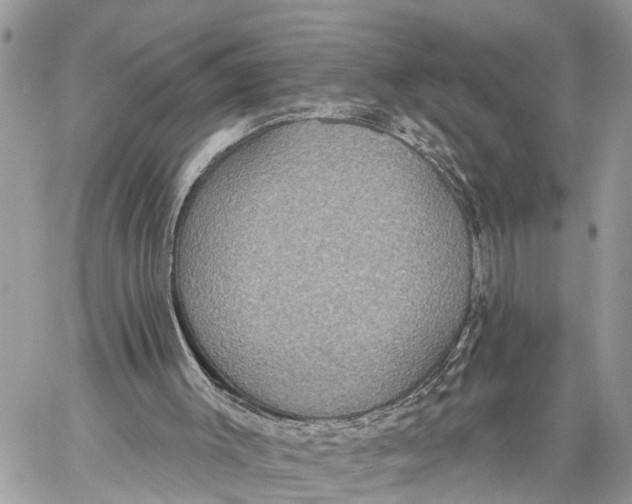 X0000060240003200511181315