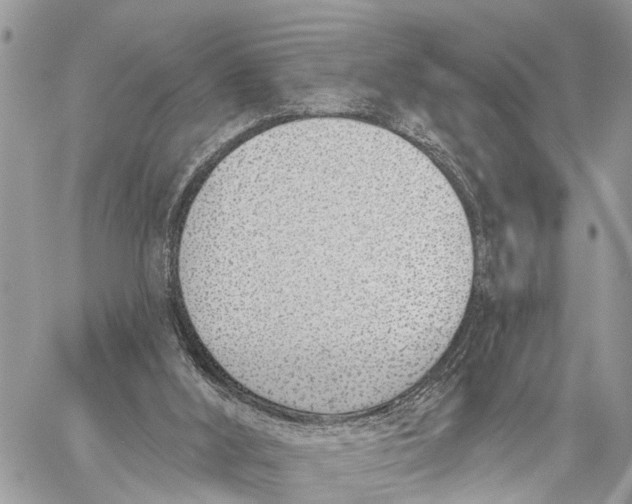 X0000060240012200511181315
