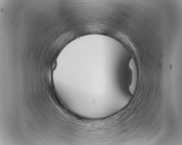 X0000060240021200511181315